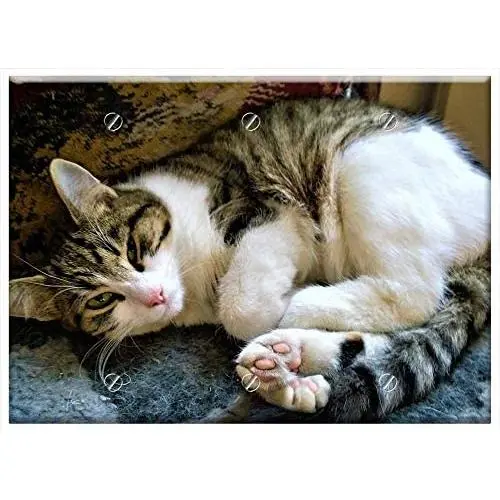Triple Blank Wall Plate Cover - Cat Animals Cat Face Striped Cat Pets Cute Cat Triple Blank Wall Plate Cover - Cat Animals Cat Face Striped Cat Pets Cute Cat