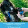 TreatPod Treat Holder for Leash - Spill Free Storage Container and Dog Training Pouch