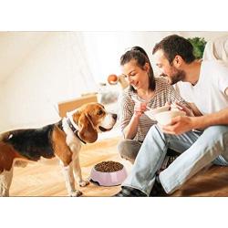 choemore Dog Bowl Stainless Steel Dog Food Bowl Anti-Slip Cat Dish with Removable Dog Water Bowl