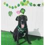 Shamrock Dog Bandana and Plush Dog Squeaky Bone Toy for Small Medium Dogs,Pet Gifts for St. Patricks Day