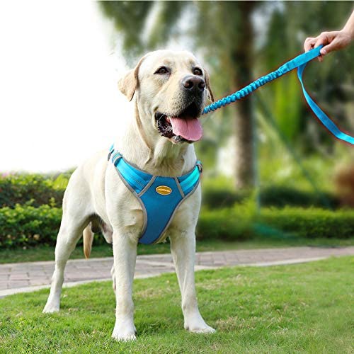 AdventureMore Dog Harness Leash Set, Step-in Escape Proof Reflective Dog Vest, No-Pull Adjustable Halter and Lead, with 5 ft Anti-Pull Dual-Handle Bungee Training Leash