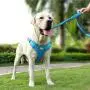 AdventureMore Dog Harness Leash Set, Step-in Escape Proof Reflective Dog Vest, No-Pull Adjustable Halter and Lead, with 5 ft Anti-Pull Dual-Handle Bungee Training Leash