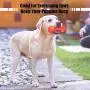 ShiLei Interactive Dog bite Toy, Tough and Durable Environmentally Friendly Rubber, Interesting Dumbbell Leak Design, Detachable, bite Resistant