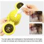 Rommisie Cat Toys Interactive Rotating for Indoor Windmill Pet Toys with Led Ball and Catnip Ball, Hair Brush Funny Kitten Toys Teeth Cleaning Massage Chew Kitty Gift with Suction Cup Base