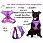 Do Not Feed Purple Color Coded Waterproof Padded Adjustable Alert Warning Medium Vest Dog Harness Prevents Accidents By Warning Others of Your Dog in Advance