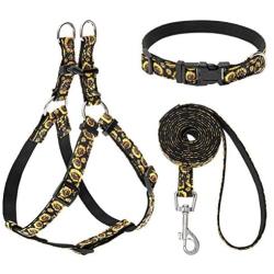 PUPTECK No Pull Dog Harness with Leash and Collar Set - Sunflower Adjustable and Durable Dog Harness for Small Medium Dogs Outdoor Walking