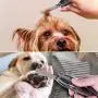Dog Nail Clippers Upgraded - 3 in 1 Foldable Dog Nail Trimmers with Safety Guard to Avoid Over Cutting - Free Hidden Pet Nail File and Hair Brush Comb, Professional Grooming Tool for Dogs and Cats