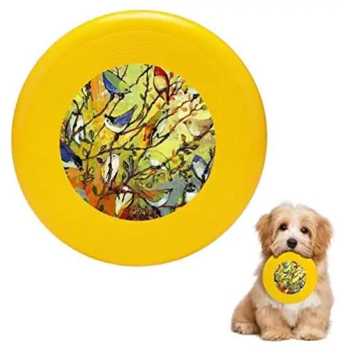 Pet Frisbee Flying Disc Dog Toy - Multifunction 1 16 Birds Jennifer Lommers Pet Frisbee Flying Disc Dog Toy - Multifunction 1 16 Birds Jennifer Lommers