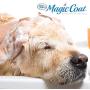 Four Paws Magic Coat Tea Tree Oil & Aloe Vera Natural Dog Shampoo with Oatmeal, 16 oz, Tree Tea Oil
