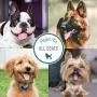 Natures Specialties Coat Conditioner for Dogs Cats, Non-Toxic Biodegradeable