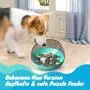 Slow Feeder Dog Bowl - Spill Proof Dog Puzzle Bowl Maze Pet Bowl to Slow Down Eating for Puppies Small Medium Dogs and Cats Slow Feeder Dog Bowl - Spill Proof Dog Puzzle Bowl Maze Pet Bowl to Slow Down Eating for Puppies Small Medium Dogs and Cats