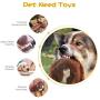 Dog Squeaky Toys, No Stuffing Plush Chew Toy for Small Medium Dogs Puppy Aggressive Chewers Large Breed, 5 Pack Cute Animals (Raccoon Squirrel Tiger Fox and Lion)