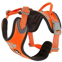 Hurtta Weekend Warrior Dog Harness, Neon Orange, 32-39 in