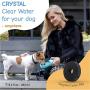 NEW PET SOLUTIONS X1 Pet Water Bottle is The Worlds Most Compact Pet Water Dispenser When Folded - and is Larger Than Many Portable Dog Water Bottle dispensers When Unfolded. Its Magical.