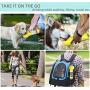 Devsolution Dog Water Bottle for Walking 10oz Travel Puppy Water Bottles Portable Leak Proof Pet Water Drinking Feeder with 2pcs Potty Waste Bags for Outdoor Hiking Walks Activities