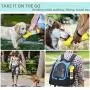 Devsolution Dog Water Bottle for Walking 10oz Travel Puppy Water Bottles Portable Leak Proof Pet Water Drinking Feeder with 2pcs Potty Waste Bags for Outdoor Hiking Walks Activities Devsolution Dog Water Bottle for Walking 10oz Travel Puppy Water Bottles Portable Leak Proof Pet Water Drinking Feeder with 2pcs Potty Waste Bags for Outdoor Hiking Walks Activities