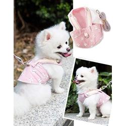 Rantow Small Dogs Harness + Dogs Leash Rope Set - No Choke Puppy Cat Dog Front Vest Harnesses Walking Lead Outdoor for Pet Corgi Poodle Schnauzer Chihuahua Pomeranian Pugs Shih Tzu Bichon Frise