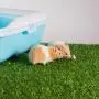 Aulock 2 Pcs Artificial Grass Guinea Pig Pee Pads- 15.7 × 23.6 Inch Fake Grass Rug Potty Training Replacement Artificial Turf for Puppy, Rabbits, Hamsters, Bunnies, Gerbils, Other Small Animals Aulock 2 Pcs Artificial Grass Guinea Pig Pee Pads- 15.7 × 23.6 Inch Fake Grass Rug Potty Training Replacement Artificial Turf for Puppy, Rabbits, Hamsters, Bunnies, Gerbils, Other Small Animals