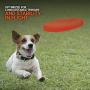 Dog Frisbee | Made in USA | UpDog Products Small 6-Inch Flying Disc for Dogs