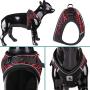 YIEPAL No Choke Reflective Padded Step in Small Dog Harness Adjustable Stylish Sport Puppy Vest Harness