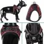 YIEPAL No Choke Reflective Padded Step in Small Dog Harness Adjustable Stylish Sport Puppy Vest Harness YIEPAL No Choke Reflective Padded Step in Small Dog Harness Adjustable Stylish Sport Puppy Vest Harness