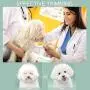 G.C Dog Clippers Grooming Kit with LED Light 2 Speed Low Noise USB Rechargable Electric Pet Hair Trimmers