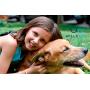 Set of 3 Interactive Dog Toys Dogs, Pet Chew Toy with Suction Cup, Pet Rope Toy, Teeth Cleaning and Feeder Dog Toy, Durable, Self-Playing, Pet Ball Toy for Tugging, Pulling, Chewing, Playing, ball dog