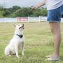 Pet Union PT0Z1 Premium Dog Training Shock Collar, Fully Waterproof, 1200ft Range