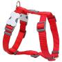 Red Dingo Classic Dog Harness