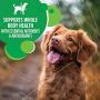 IAMS Minichunks Adult Dry Dog Food, Chicken
