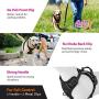 GoMeX Dog Harness No Pull Pet Harness (Bonus) Adjustable Outdoor Black Vest Reflective Soft Material Easy Control for Large Dogs (6 FT Reflective Leash & Waste Bags w/Dispenser and Clip Included)