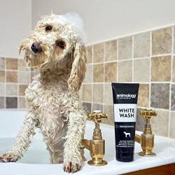 Animology Dog White Wash Shampoo 250ml