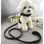 Newtensina 2pcs Bow Ties Bling Cute Dog Harness with Lead for Dog