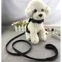 Newtensina 2pcs Bow Ties Bling Cute Dog Harness with Lead for Dog