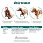 Dog Harness - No pull and No choke humane Design, Non Pulling Pet Harness with Mesh vest, Easy Step-in Adjustable Mesh Harness for control, Patented Dog Pull Control Technology by Sporn