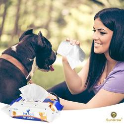 SunGrow Wet Wipes for Dogs and Cats, Recommended for Everyday Use, 1 Pack Contains 100 Sheets