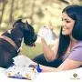 SunGrow Wet Wipes for Dogs and Cats, Recommended for Everyday Use, 1 Pack Contains 100 Sheets SunGrow Wet Wipes for Dogs and Cats, Recommended for Everyday Use, 1 Pack Contains 100 Sheets
