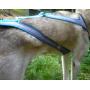 Universal Pulling Joring Dog Harness Adjustable Length