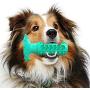U/R Dog Toy Dog Chew Toys Dog Toothbrush Teeth Cleaning Brushing Stick Toy Pet Squeak Toys Pet Doggy Supplies Puppy Popular Toys
