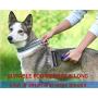 SOMORE Pets Grooming Tool 2 Sided Undercoat rake for Cats and Dogs Safe dematting Comb Brush Removing No More Nasty Shedding and Flying Hair