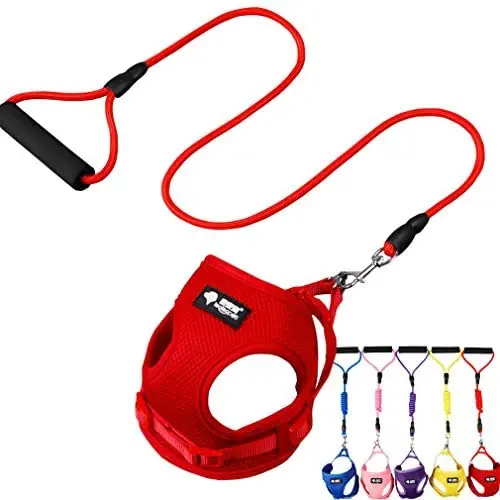 Jecikelon Small Pet Dog Vest Harness and Leash Set Step in Adjustable Mesh Cat Dog Harness Comfortable Padded Handle Dog Leash Great for Training Walking