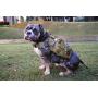RubRab Tactical Dog Harness Vest Medium with Handle Pulling Military Working Dog Molle Vest with Metal Buckles & Loop Panels Adjustable Harness