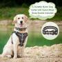 WINSEE Dog Harness and Collar Set for Large Dogs Black, Reflective Adjustable Step in Dog Halter Harnesses no Pull with Cobra Buckle Dog Collar Heavy Duty, Soft Padded Pet Vest Walking Harness