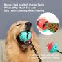 PetsBark Suction Cup Dog Chew Toy for Aggressive Chewers, Dogs Teeth Cleaning Rope Toys