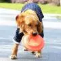 2 PCS Sports Disc, Dog Frisbee Indestructible for Outdoors Beach Backyard Sports Play Discs, Fun Rubbery Summer Toy 2 PCS Sports Disc, Dog Frisbee Indestructible for Outdoors Beach Backyard Sports Play Discs, Fun Rubbery Summer Toy