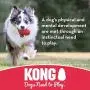 KONG - Extreme Ball - Durable Rubber Dog Toy for Power Chewers, Black - for Medium/Large Dogs KONG - Extreme Ball - Durable Rubber Dog Toy for Power Chewers, Black - for Medium/Large Dogs