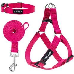 DMISOCHR Dog Harness and Leash Set with Collar - Step-in Adjustable No Pull Safe Doggy Harness - Soft Nylon H-Shape Full Body Harness - Easy Walking Control for Small, Medium, Large Dogs