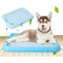 Petforu Dog Training Trays, Pet Toilet Training Pad Holder [Blue + White]