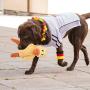 Vovodog Dog Toys Plush Dog Toys, Dog Chew Toys Pet Squeaky Toys with Squeakers - Crinkle Dog Toys for Small Medium Large Dogs