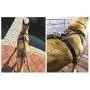 OCSOSO Durable Finest Brown Genuine Leather Dog Vest Harness Safety Dog Leather Harness Brass Plated for Medium Or Large Dogs 33.5''-35'' Chest with Dog Leash Hook